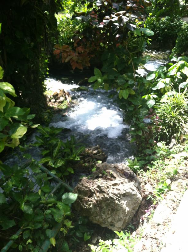 Name:  IMG_3447.jpg
Views: 425
Size:  98.3 KB