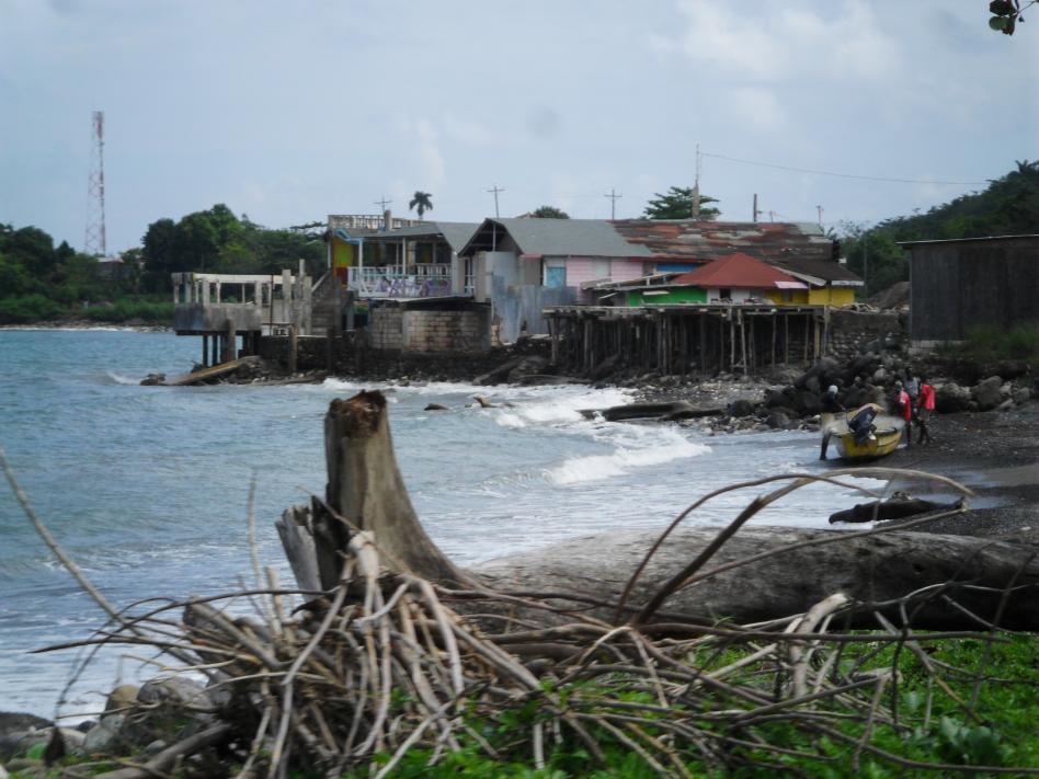 Name:  Jamaica 1-2012 110.jpg
Views: 1420
Size:  92.3 KB
