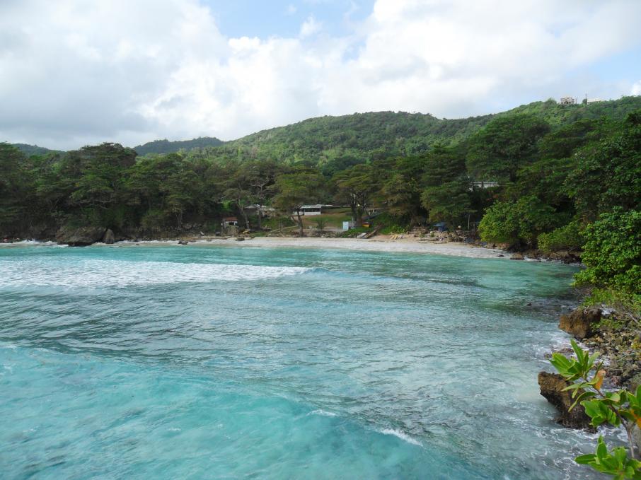 Name:  Jamaica 1-2012 127.jpg
Views: 1211
Size:  96.2 KB