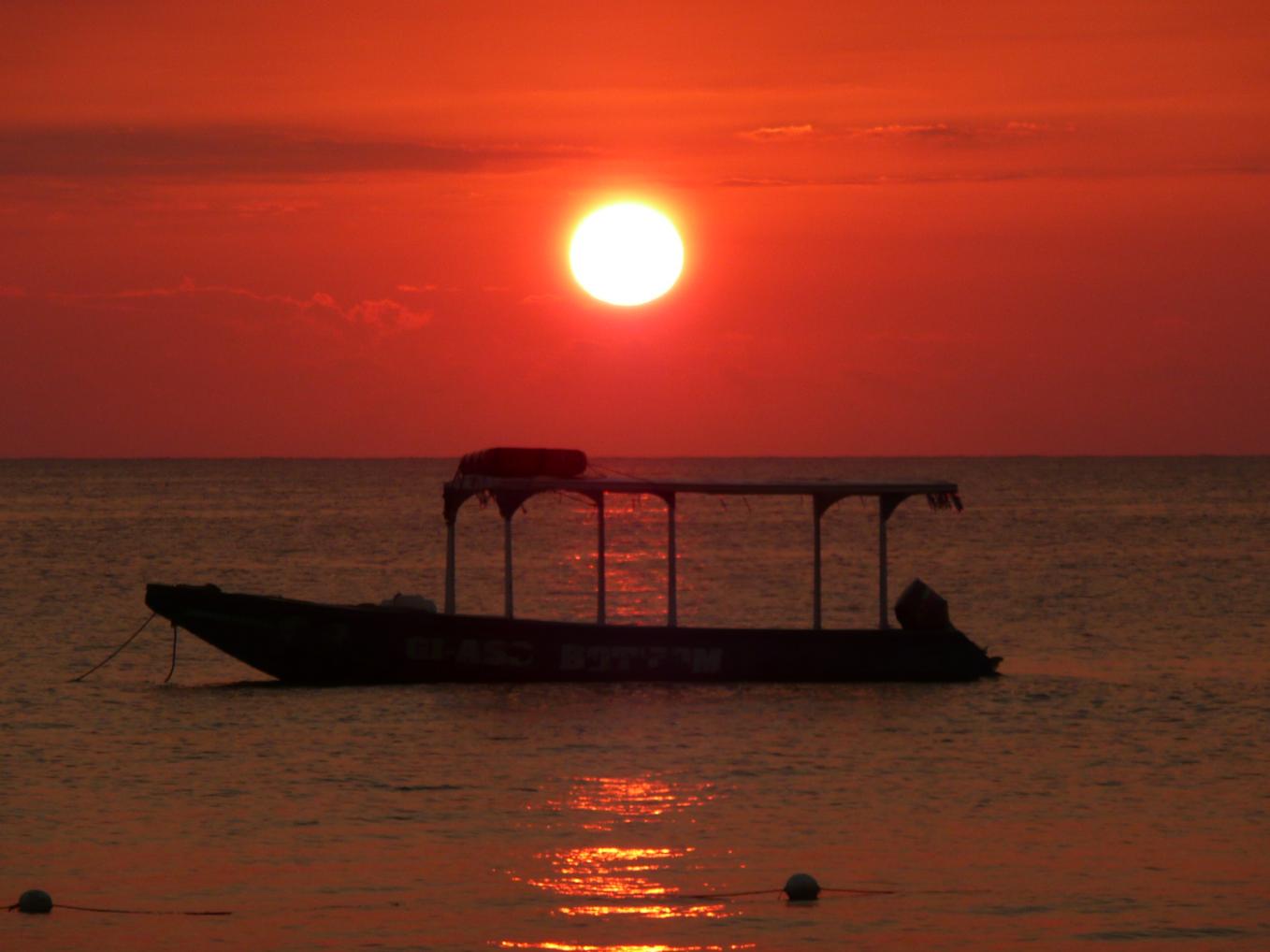 Name:  JAMAICA 2011 250.jpg
Views: 1621
Size:  81.3 KB
