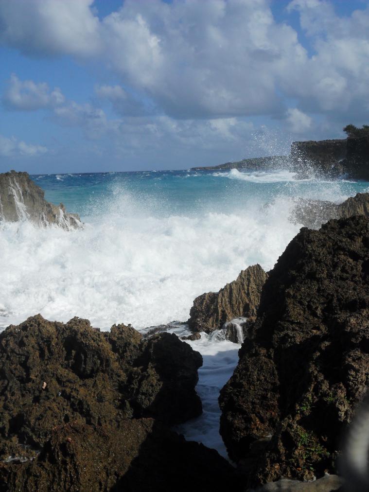 Name:  Jamaica 1-2012 153.jpg
Views: 1198
Size:  93.2 KB