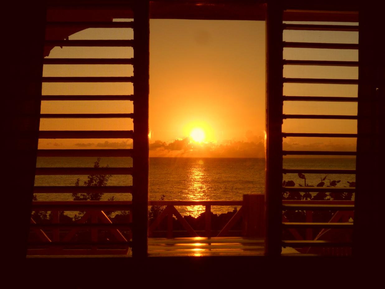 Name:  Jamaica 1-2012 167.jpg
Views: 1474
Size:  82.0 KB