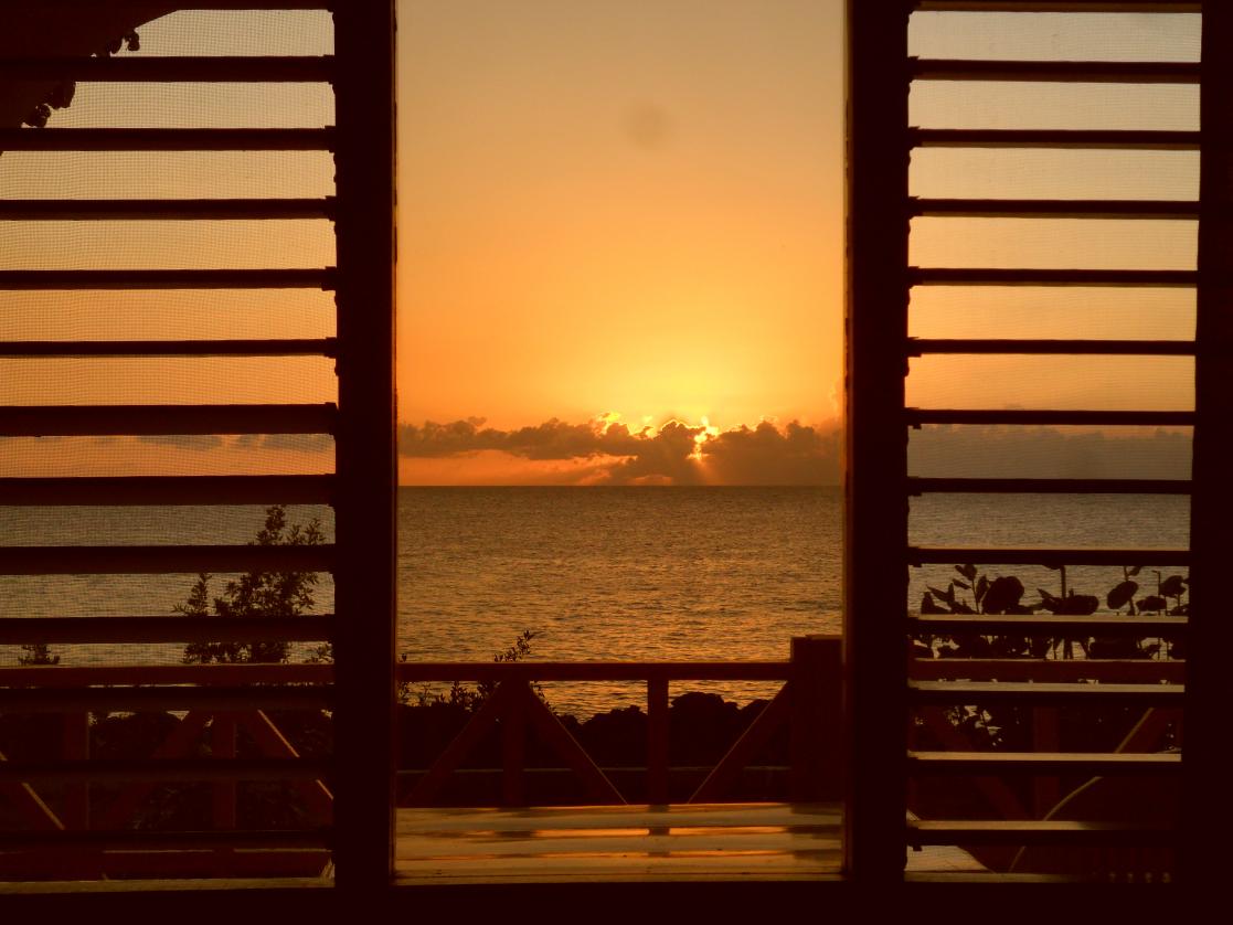 Name:  Jamaica 1-2012 168.jpg
Views: 1475
Size:  91.1 KB