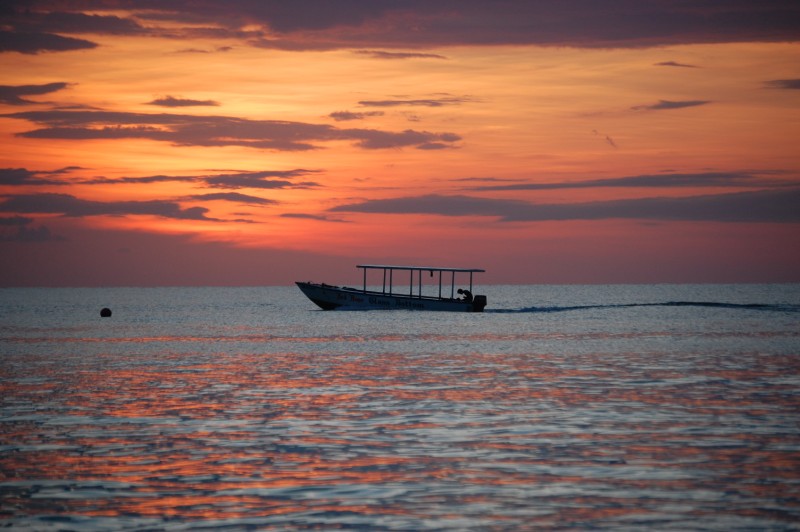 Name:  days end8.jpg
Views: 1610
Size:  89.3 KB