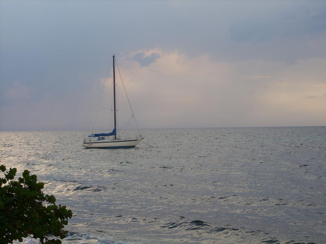 Name:  MayJuneJuly2007 033.jpg
Views: 1652
Size:  93.8 KB