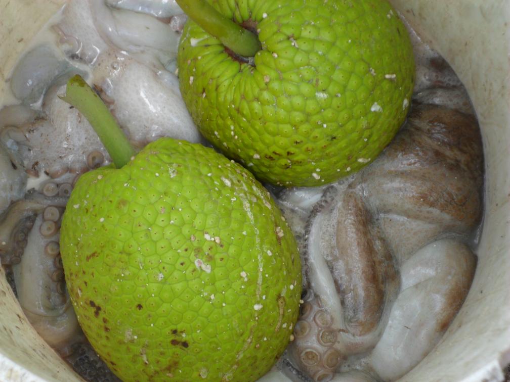 Name:  Jamaica 1-2012 231.jpg
Views: 1363
Size:  90.1 KB