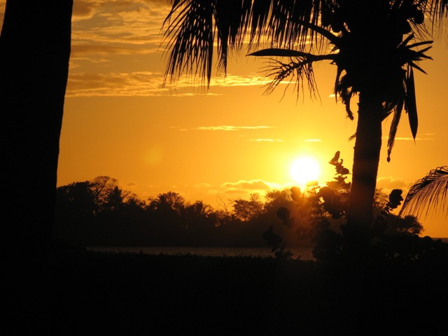 Name:  JamSun1.jpg
Views: 1777
Size:  74.4 KB