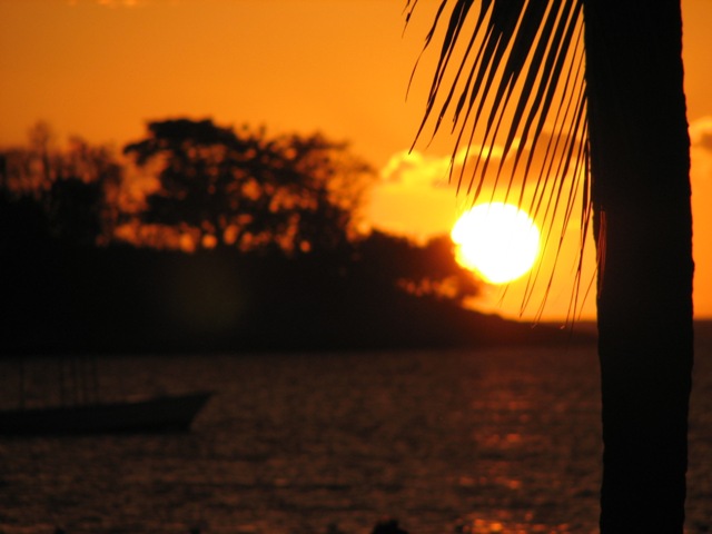 Name:  JamSun3.jpg
Views: 1788
Size:  66.2 KB