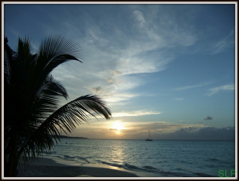 Name:  DSCF2014 (Copy).JPG
Views: 497
Size:  89.2 KB