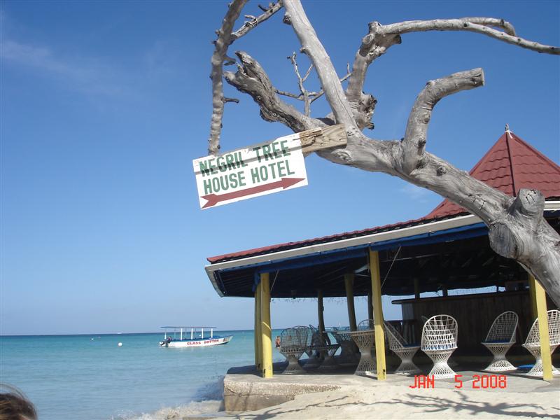 Name:  DSC00970 (Medium).JPG
Views: 1751
Size:  76.1 KB
