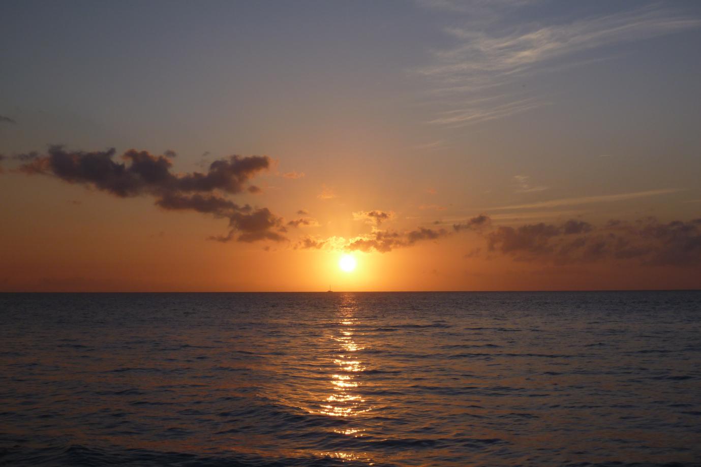 Name:  P1020113.jpg
Views: 434
Size:  87.0 KB