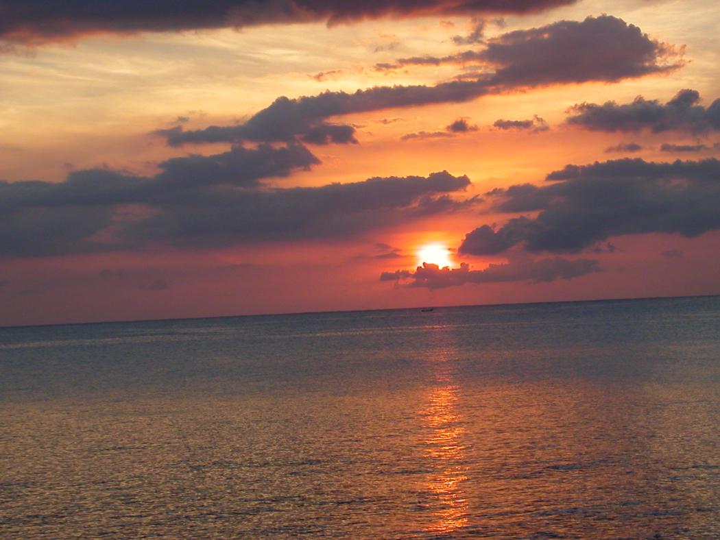 Name:  DSCN1355.jpg
Views: 1712
Size:  91.8 KB