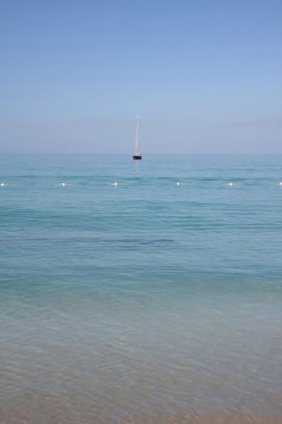 Name:  IMG_2089 (398x600).jpg
Views: 598
Size:  17.1 KB