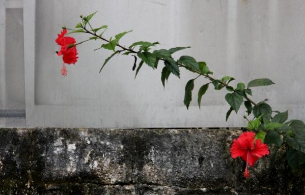 Name:  IMG_2801 (600x385).jpg
Views: 531
Size:  34.1 KB