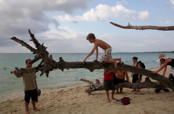 Name:  IMG_2891 (600x395).jpg
Views: 486
Size:  30.5 KB