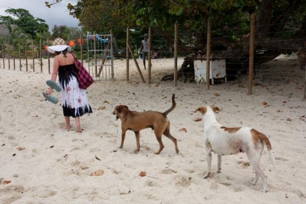 Name:  IMG_2924 (600x400).jpg
Views: 475
Size:  41.6 KB