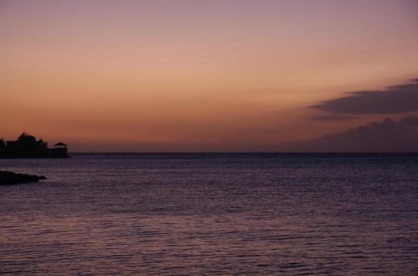 Name:  IMG_3384 (600x396).jpg
Views: 411
Size:  22.5 KB
