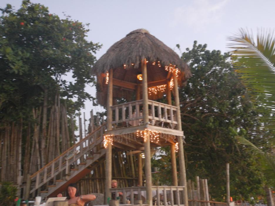 Name:  DSCN0834.jpg
Views: 418
Size:  92.2 KB