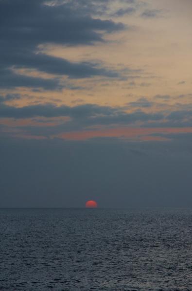 Name:  IMG_3915 (396x600).jpg
Views: 353
Size:  20.0 KB