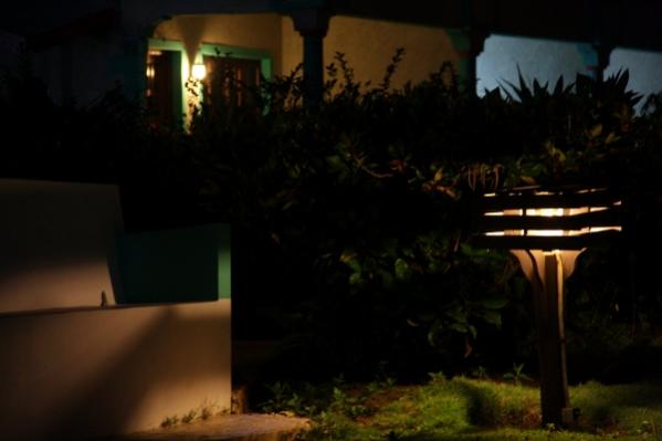 Name:  IMG_3991 (600x400).jpg
Views: 404
Size:  21.3 KB