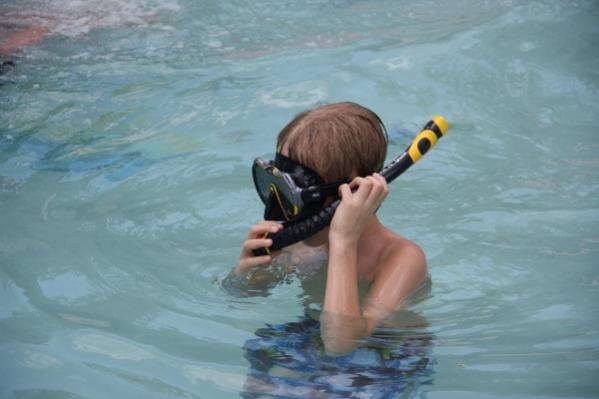 Name:  IMG_4162 (600x400).jpg
Views: 415
Size:  27.1 KB
