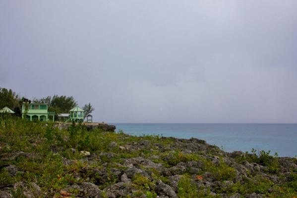Name:  IMG_4291 (600x400).jpg
Views: 399
Size:  26.1 KB