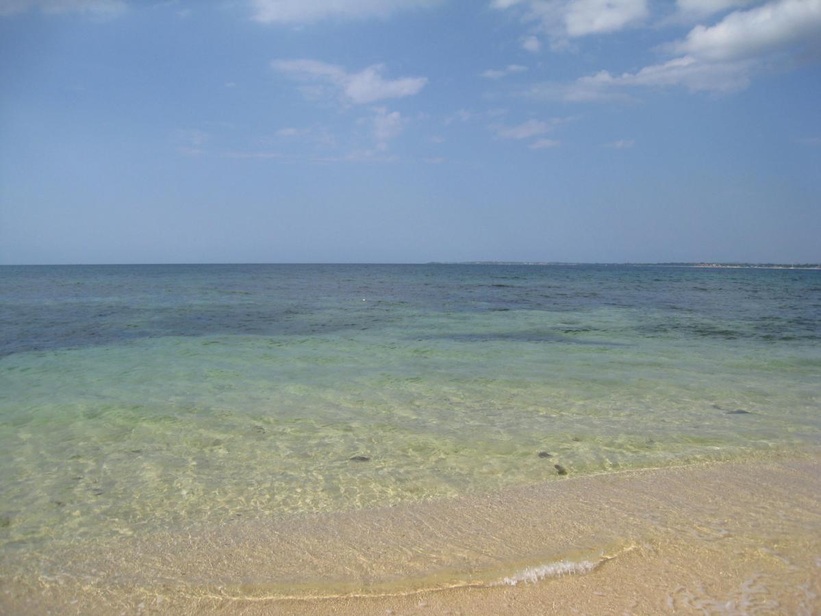 Name:  IMG_0421.jpg
Views: 635
Size:  93.1 KB