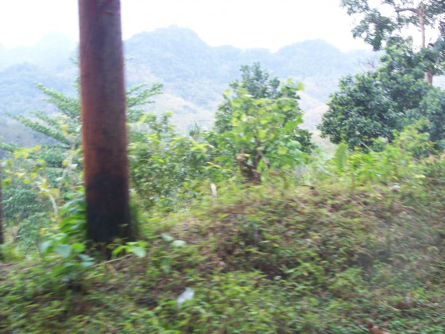 Name:  056.jpg
Views: 385
Size:  95.1 KB