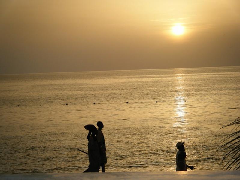 Name:  sunsetstroll.jpg
Views: 1210
Size:  55.8 KB