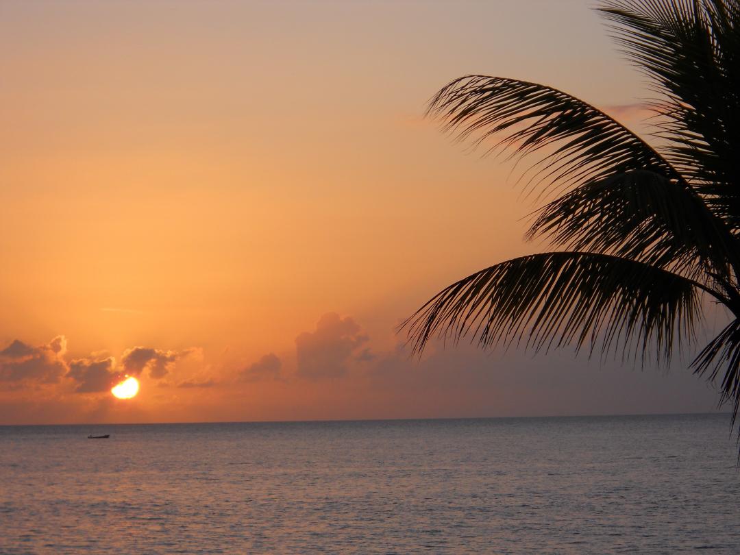 Name:  DSCN0169.jpg
Views: 184
Size:  92.5 KB