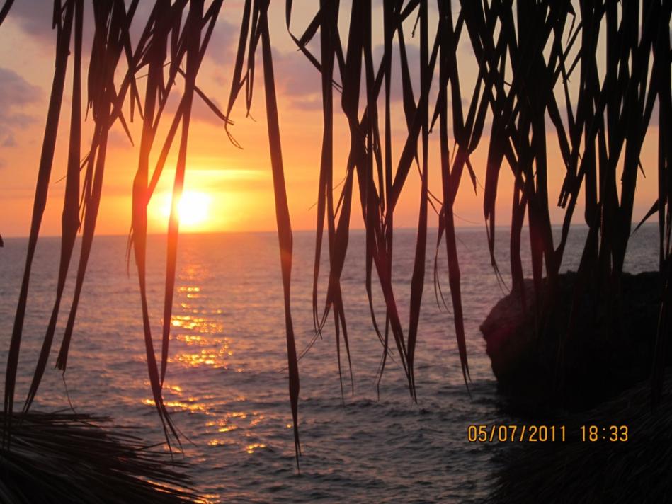 Name:  Picture 356resized.jpg
Views: 461
Size:  89.5 KB