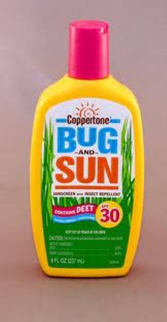 Name:  Bug n Sun.jpg
Views: 205
Size:  23.2 KB