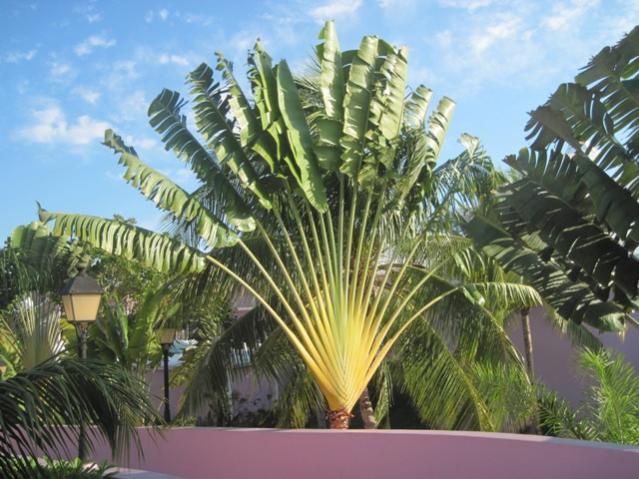 Name:  051.jpg
Views: 658
Size:  58.7 KB