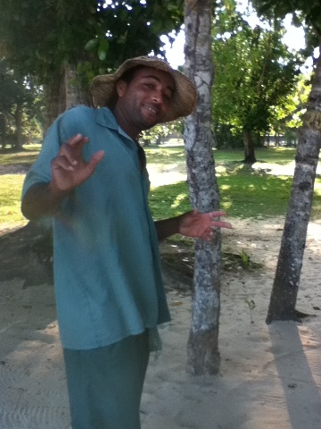 Name:  photo(59).jpg
Views: 778
Size:  87.7 KB