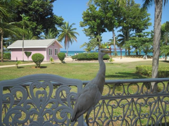 Name:  067.jpg
Views: 594
Size:  60.6 KB