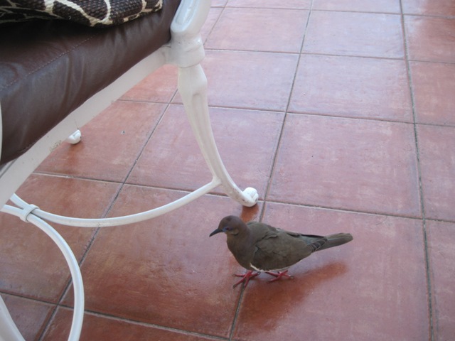 Name:  072.JPG
Views: 524
Size:  83.1 KB