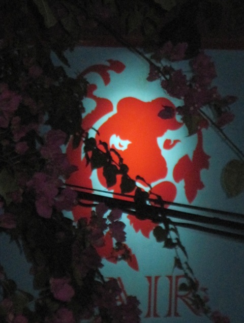 Name:  033.JPG
Views: 335
Size:  85.7 KB