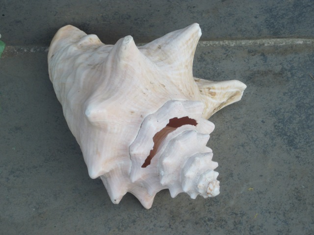 Name:  038.JPG
Views: 491
Size:  83.0 KB