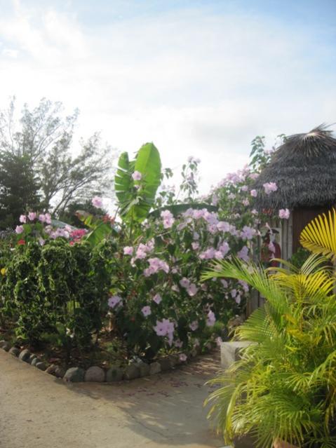 Name:  104.jpg
Views: 336
Size:  48.3 KB