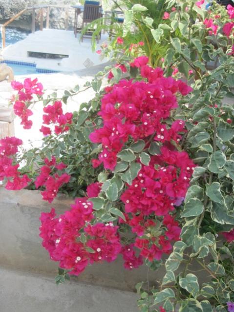 Name:  114.jpg
Views: 258
Size:  59.4 KB