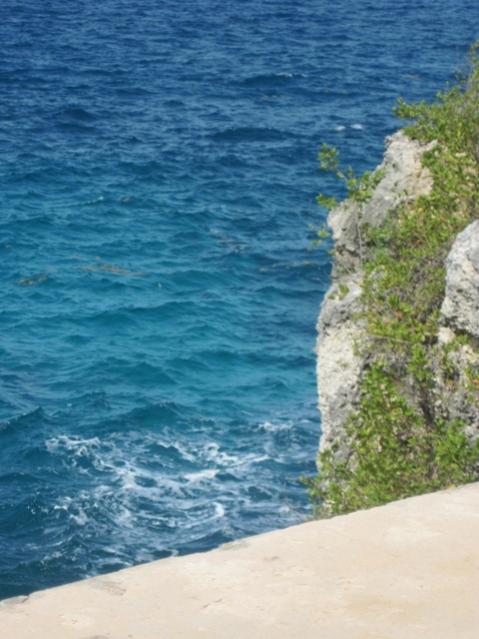 Name:  122.jpg
Views: 221
Size:  48.0 KB