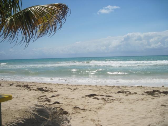 Name:  070.jpg
Views: 423
Size:  40.7 KB