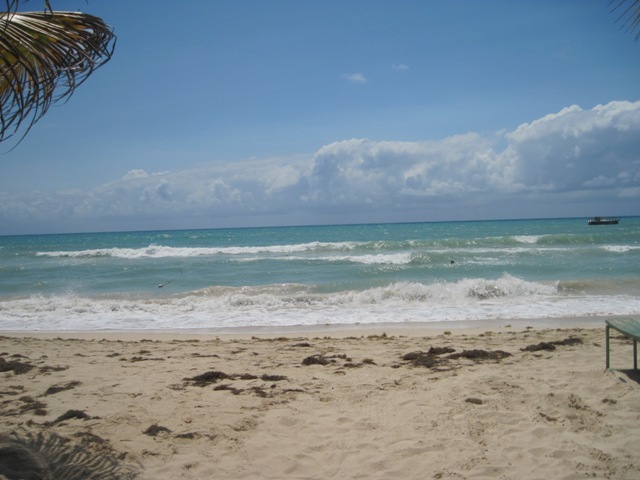 Name:  064.JPG
Views: 368
Size:  86.2 KB