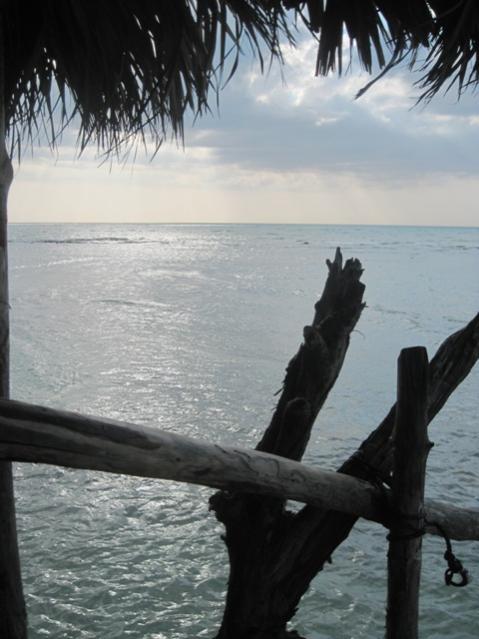 Name:  110.jpg
Views: 320
Size:  42.6 KB