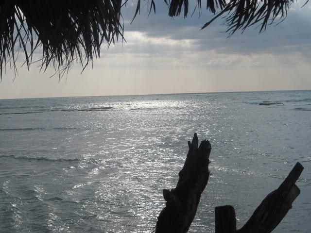 Name:  114.JPG
Views: 487
Size:  62.1 KB