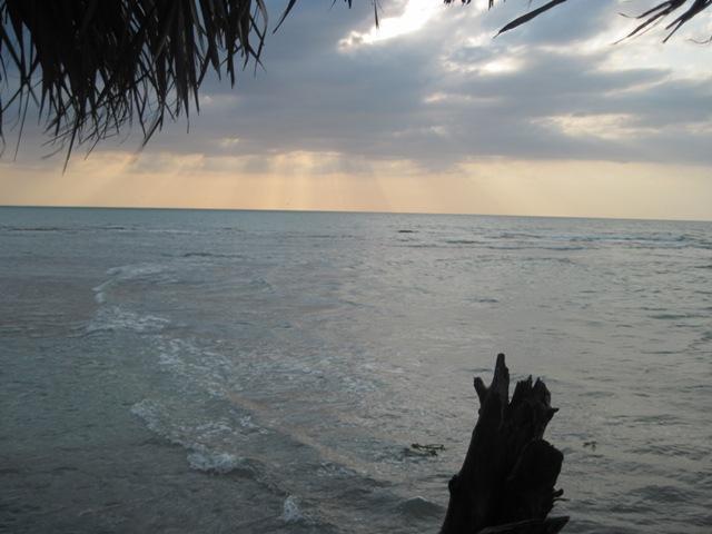 Name:  143.JPG
Views: 476
Size:  47.4 KB