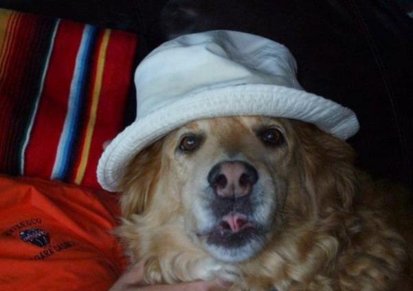 Name:  buddy.jpg
Views: 992
Size:  27.7 KB