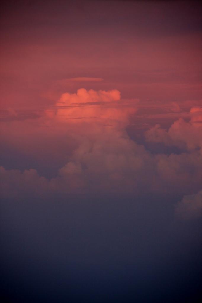 Name:  IMG_6236 (683x1024).jpg
Views: 1373
Size:  22.9 KB
