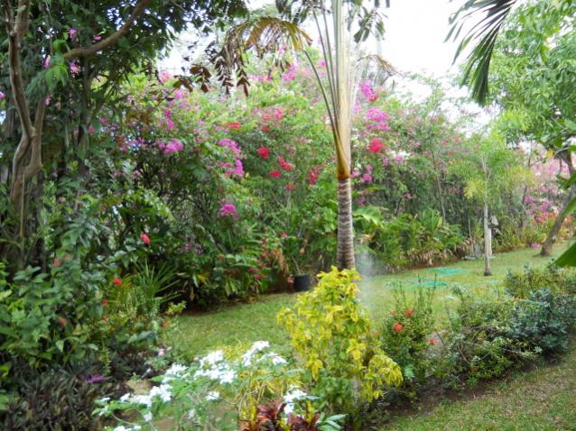 Name:  Seastar Garden.jpg
Views: 235
Size:  81.4 KB