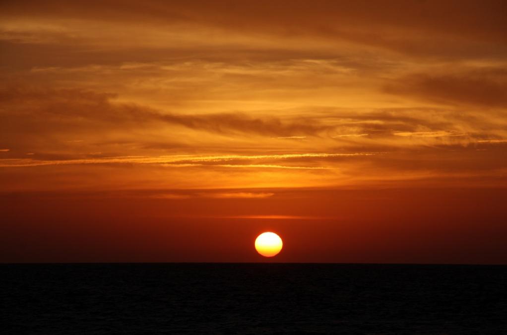 Name:  IMG_6603 (1024x676).jpg
Views: 831
Size:  38.4 KB